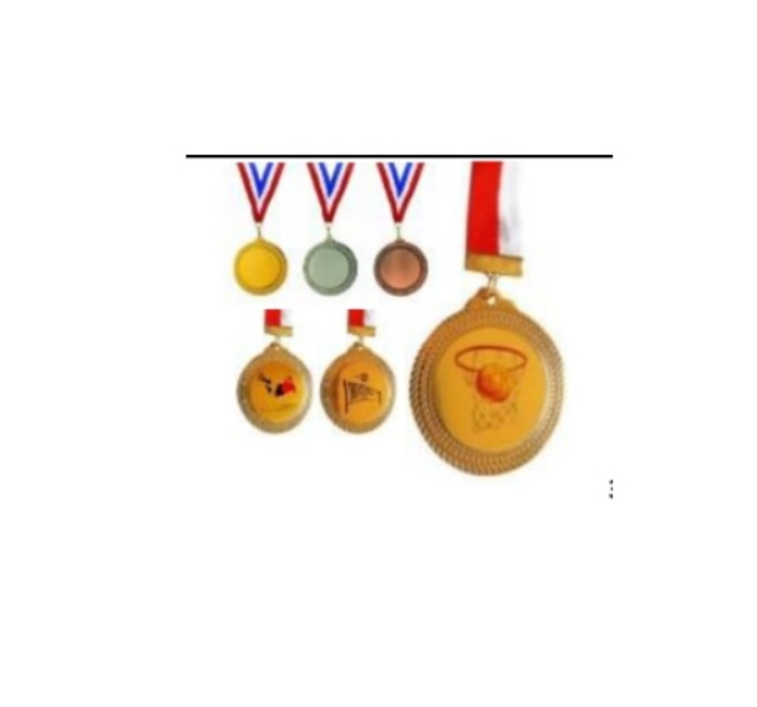 AVESSA MADALYA ALTIN  (FUTBOL-VOLEYBOL-BASKETBOL)