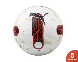 PUMA 08419201 ORBITA SUPER LIG1 (FIFA PRO) 5.